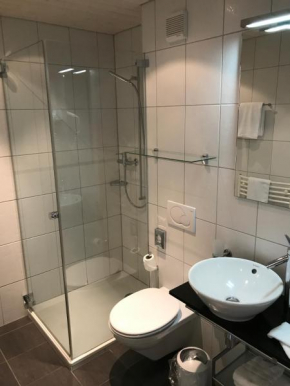 Гостиница Hotel Restaurant Zur alten Gasse, Бельвальд